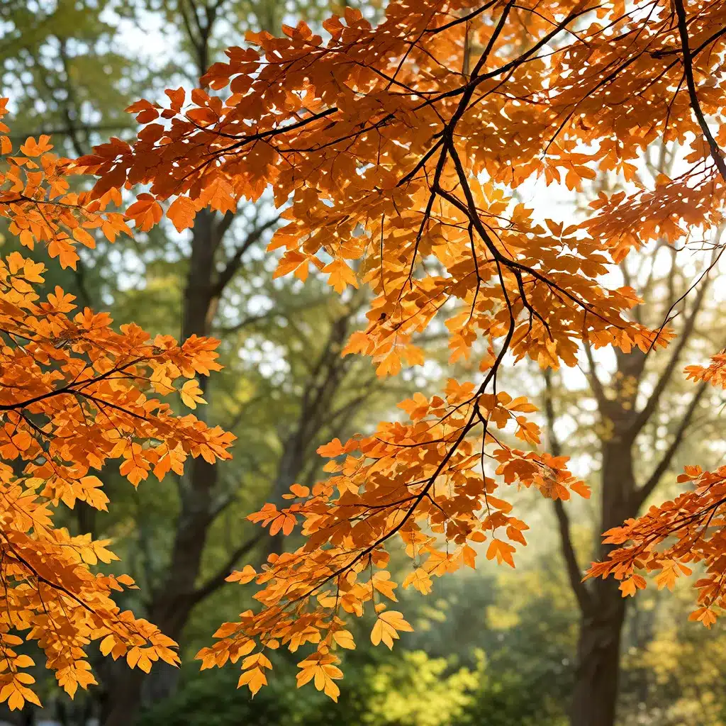 Radiant Refresh: Preparing Your Business for the Changing Seasons